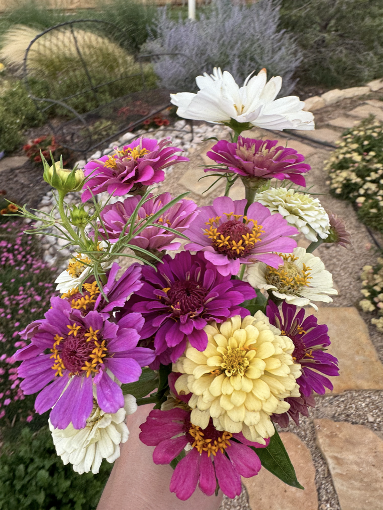 Insanely Easy Flowers to Grow for Summer Bouquets